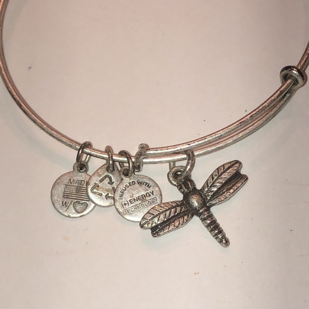 Alex and Ani Silver Tone Dragonfly Charm Bangle